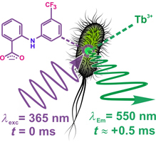 Graphical Abstract Image