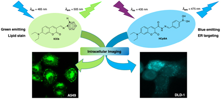 Graphical Abstract Image