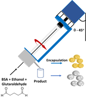 Graphical Abstract Image