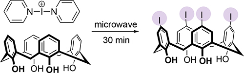 Graphical Abstract Image