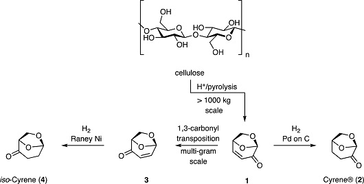 Graphical Abstract Image