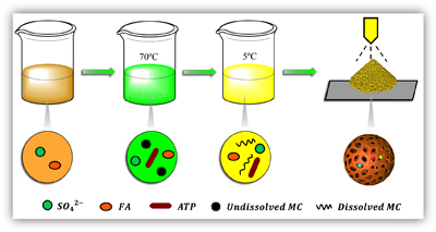 Graphical Abstract Image