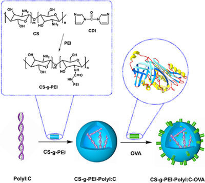 Graphical Abstract Image