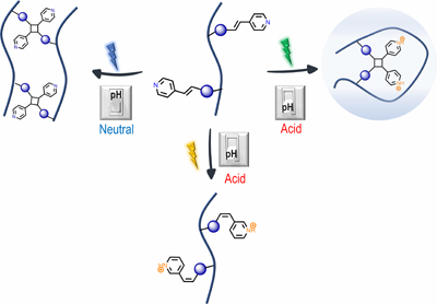 Graphical Abstract Image