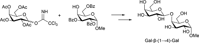 Graphical Abstract Image