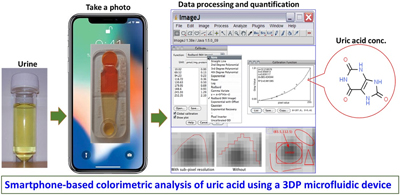 Graphical Abstract Image