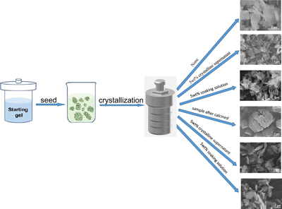 Graphical Abstract Image