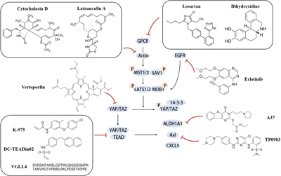 Graphical Abstract Image