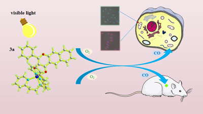 Graphical Abstract Image