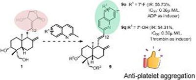 Graphical Abstract Image