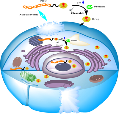 Graphical Abstract Image