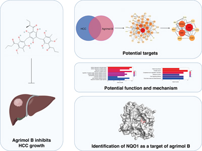 Graphical Abstract Image
