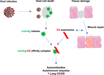 Graphical Abstract Image