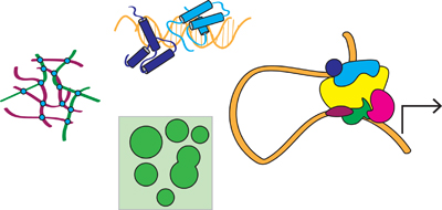 Graphical Abstract Image