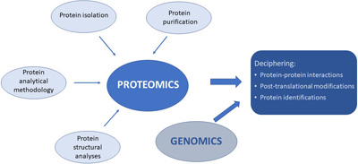 Graphical Abstract Image
