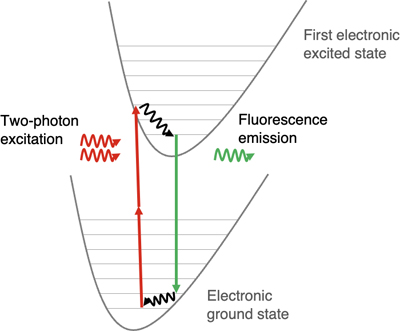 Graphical Abstract Image