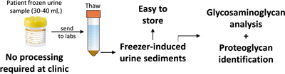 Graphical Abstract Image