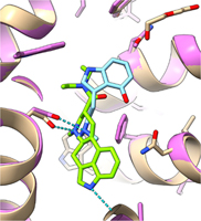 graphical abstract image