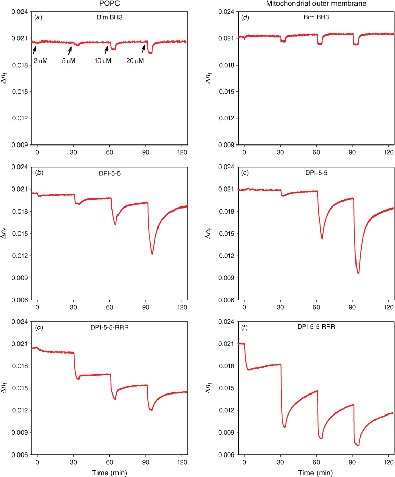 CH23063_F4.gif