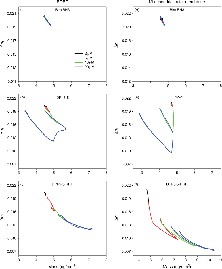 CH23063_F5.gif