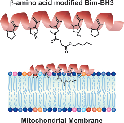 Graphical Abstract Image
