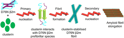 graphical abstract image