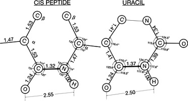 graphical abstract image