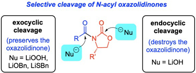 graphical abstract image