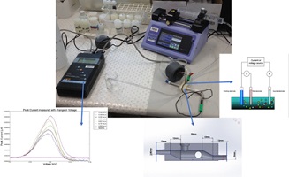 graphical abstract image