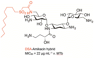 Molecular structure of decanesulfonylacetamide–amikacin conjugate; MIC is 22 μg mL–1 against Mycobacterium tuberculosis