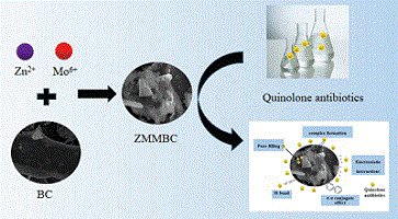 Schematic of the synthesis of ZMMBC and its use as an absorbant for quinolone antibiotics.