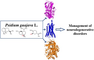Schematic showing compounds present in Psidium guajava and graphics of the associated proteins that were evaluated against neurodegenerative disorders.