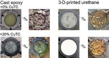 Progressive fouling of cast epoxy and 3-D-printed urethane test samples in a marine environment over a 3-month trial.