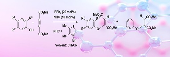 A schematic of how phenols react with DMAD in the presence of phosphine or NHC as catalyst to give aryl vinyl ethers by the Michael reaction