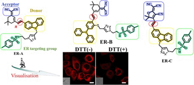 Three schematics showing the molecular structures of the ER-targeting compounds, and two confocal images of HepG2 cells.