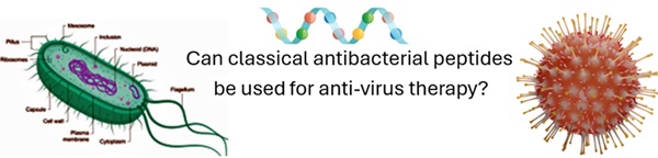 An illustration posing the question, “Can classical antibacterial peptides be used for anti-virus therapy?”