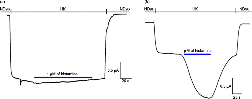 CH25059_F3.gif