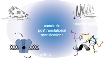 Diagram showing the various structure and function assays used to study conotoxin posttranslational modifications.