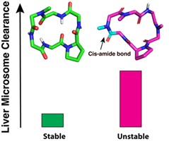 A bar graph with chemical diagrams showing the relative liver microsomal clearance of stable and unstable N-methylated cyclic hexapeptides.