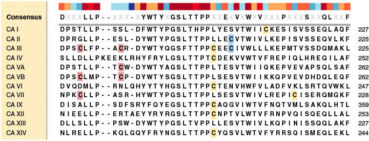 CH25081_F3.gif