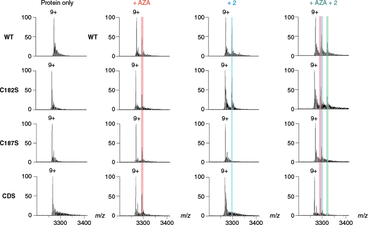 CH25081_F6.gif