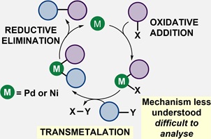 A diagram of a typical cross-coupling catalytic cycle showing the oxidative addition, transmetalation and reductive elimination steps