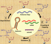 Graphical Abstract Image