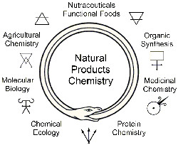 Graphical Abstract Image