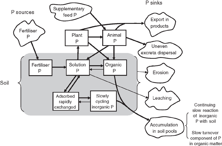 Csiro Publishing Crop And Pasture Science