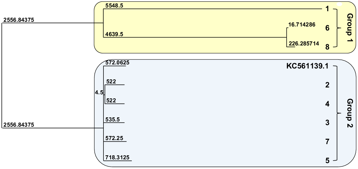 CP24363_F2.gif
