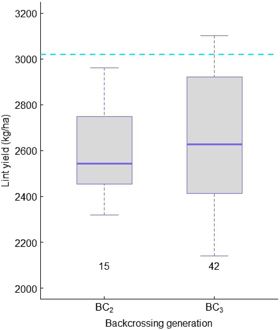 CP25064_F5.gif