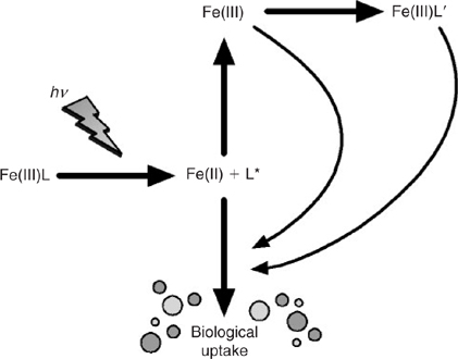 F4