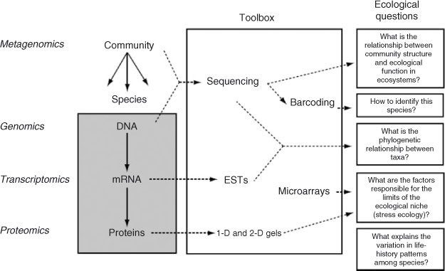 Metal Speciation And Bioavailability In Aquatic Systems Download