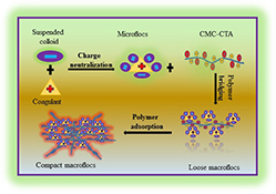 Graphical Abstract Image